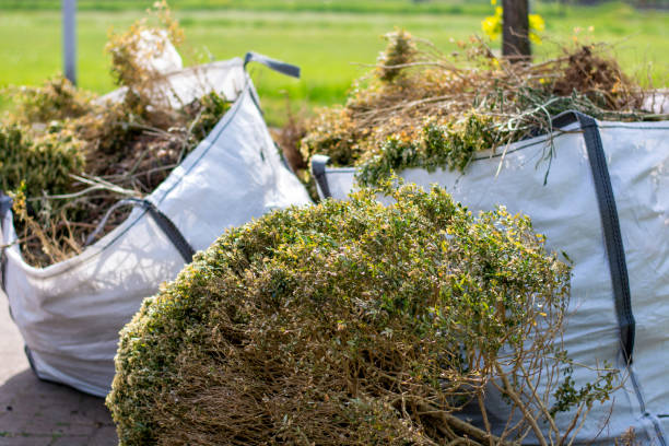 Best Dumpster Rental Services  in Howard City, MI