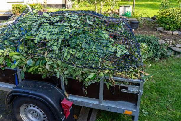 Same-Day Junk Removal Services in Howard City, MI